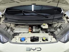 BYD Seagull Glory Edition 305km Vitality Version - ფოტო 20