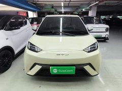 BYD Seagull Glory Edition 305km Vitality Version - ფოტო 3