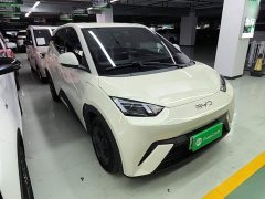 BYD Seagull Glory Edition 305km Vitality Version - ფოტო 4