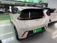 BYD Seagull Glory Edition 305km Vitality Version - ფოტო 5