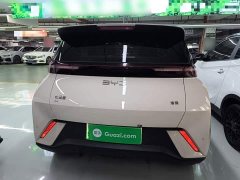 BYD Seagull Glory Edition 305km Vitality Version - ფოტო 6