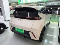BYD Seagull Glory Edition 305km Vitality Version - ფოტო 7