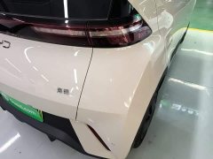 BYD Seagull Glory Edition 305km Vitality Version - ფოტო 8
