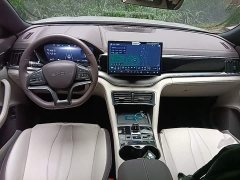 BYD Song Plus New Energy EV Glorious Edition 520km Luxury - ფოტო 10