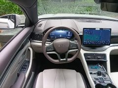 BYD Song Plus New Energy EV Glorious Edition 520km Luxury - ფოტო 11