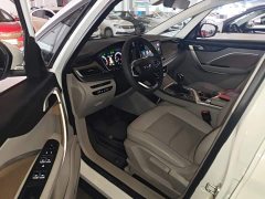 Geely Jiayue Zhiqing 1.5TD Manual Standard - ფოტო 16