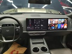Li Auto L9 Max - ფოტო 13