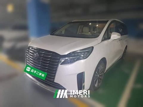2023 Buick GL8 ES LuZun Flagship