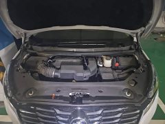 Buick GL8 ES LuZun Flagship - ფოტო 11