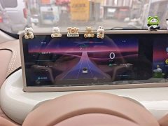 Wuling Binguo 333km Lingxi Premium Edition - ფოტო 12