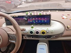 Wuling Binguo 333km Lingxi Premium Edition - ფოტო 13