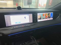 Voyah Lantu FREE 318 259km AWD Explorer Edition - ფოტო 13