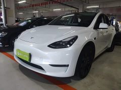 Tesla Model Y Performance All-Wheel Drive - ფოტო 1