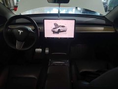 Tesla Model Y Performance All-Wheel Drive - ფოტო 10