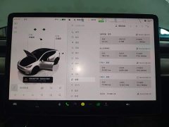 Tesla Model Y Performance All-Wheel Drive - ფოტო 12