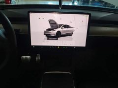 Tesla Model Y Performance All-Wheel Drive - ფოტო 13