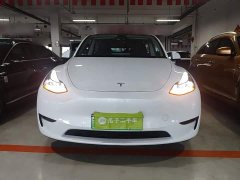 Tesla Model Y Performance All-Wheel Drive - ფოტო 3