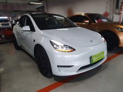 Tesla Model Y Performance All-Wheel Drive - ფოტო 4