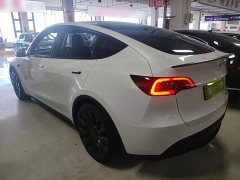 Tesla Model Y Performance All-Wheel Drive - ფოტო 5