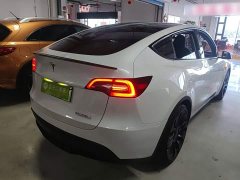 Tesla Model Y Performance All-Wheel Drive - ფოტო 7