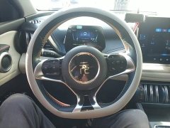 BYD Yuan Plus Champion Edition 510KM Leading - ფოტო 11