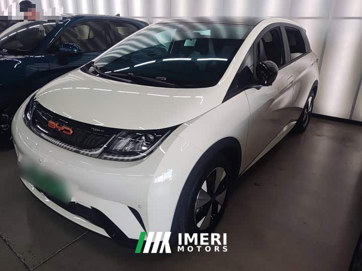 BYD Dolphin 420km Fashion Edition - ავტომობილი ჩინეთიდან