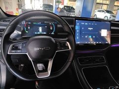 BYD Destroyer 05 Glory Edition DM-i 55KM Luxury - ფოტო 10