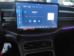 BYD Destroyer 05 Glory Edition DM-i 55KM Luxury - ფოტო 13