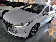 BYD Destroyer 05 Glory Edition DM-i 55KM Luxury - ფოტო 2