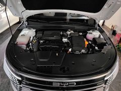 BYD Destroyer 05 Glory Edition DM-i 55KM Luxury - ფოტო 20