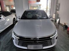 BYD Destroyer 05 Glory Edition DM-i 55KM Luxury - ფოტო 3