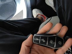 BYD Destroyer 05 Glory Edition DM-i 55KM Luxury - ფოტო 9