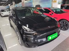 Tesla Model Y Rear-Wheel Drive - ფოტო 4