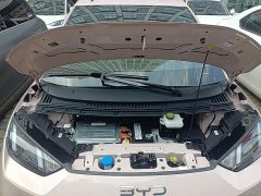 BYD Seagull 2025 305km Freedom Edition - ფოტო 16