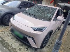 BYD Seagull 2025 305km Freedom Edition - ფოტო 2