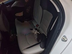 Geely Xingrui Facelift 2.0T Diesel Premium - ფოტო 15