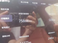 Li Auto L9 2022 Max - ფოტო 5
