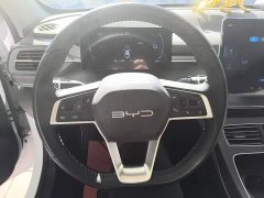 BYD Destroyer 05 Glory Edition DM-i 55KM Luxury - ფოტო 11