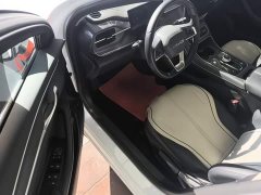 BYD Destroyer 05 Glory Edition DM-i 55KM Luxury - ფოტო 16