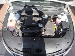 BYD Destroyer 05 Glory Edition DM-i 55KM Luxury - ფოტო 20