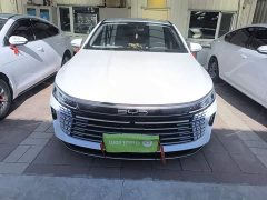 BYD Destroyer 05 Glory Edition DM-i 55KM Luxury - ფოტო 3
