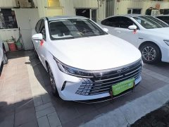 BYD Destroyer 05 Glory Edition DM-i 55KM Luxury - ფოტო 4