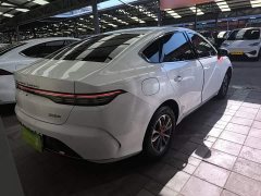 BYD Destroyer 05 Glory Edition DM-i 55KM Luxury - ფოტო 7