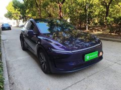 Tesla Model Y Long Range All-Wheel Drive Launch Edition - ფოტო 4