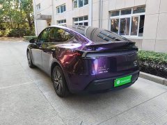 Tesla Model Y Long Range All-Wheel Drive Launch Edition - ფოტო 5