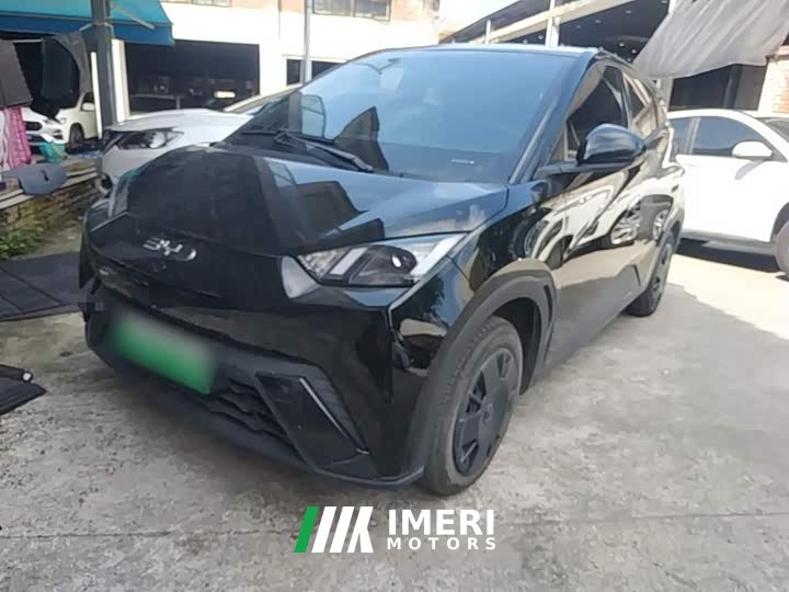 BYD Seagull 2025 305km Vitality Edition - ავტომობილი ჩინეთიდან
