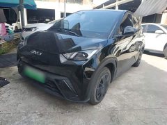 BYD Seagull 2025 305km Vitality Edition - ფოტო 2