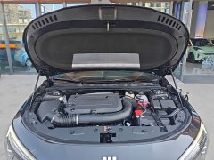 Buick Junyue 28T Platinum Edition - ფოტო 20