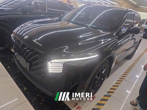 2022 Venucia Karry Daway V 260T Black Horse Edition Tianwang