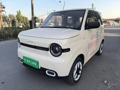 Geely Panda Mini 210km Vitality Edition - ფოტო 1